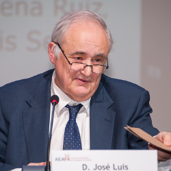 <a href=" https://aeafa2024.es/index.php/speaker/jose-luis-seoane/">José Luis Seoane Spiegelberg</a>